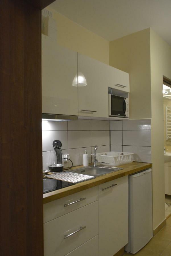 דירות Apartament Akuratny זקופאנה מראה חיצוני תמונה